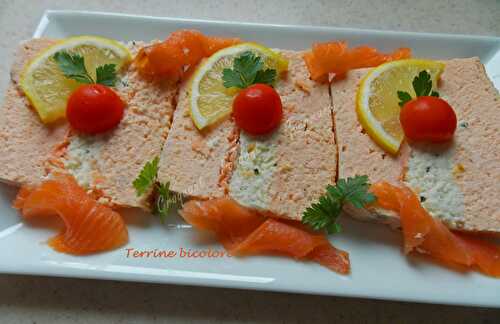 Terrine bicolore