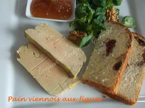 Terrine de foie gras mi-cuit