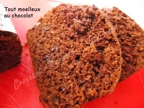 Tout moelleux au chocolat