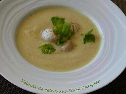 Velouté de céleri aux Saint-Jacques