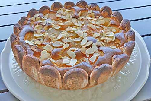 Gâteau léger aux abricots *-  Foodista challenge # 124