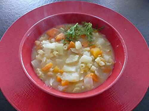 Minestrone de l’hiver au Cook Expert ou non *