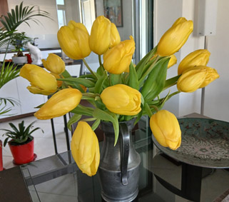 Bataille food # 146 résultats du défi