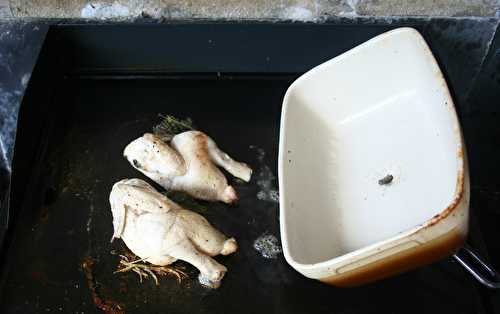 Coquelet "sous cloche" et poivron long grillé à la plancha - amafacon