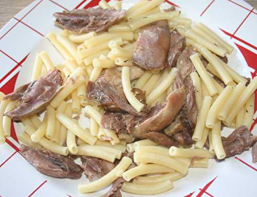 Effiloché de canard aux macaroni