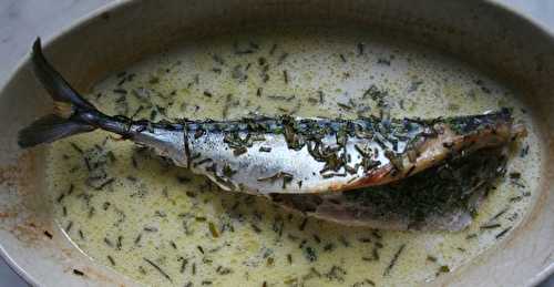 Maquereau au cidre et ciboulette