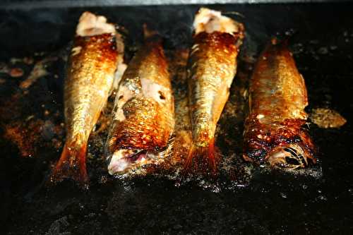 Sardines grillées à la plancha caramélisées au miel épicé