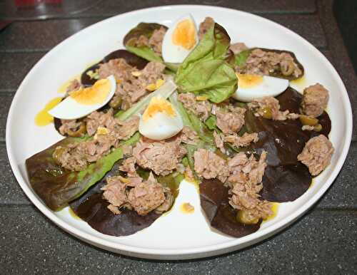 Salade au thon et œuf sur laitue barlach