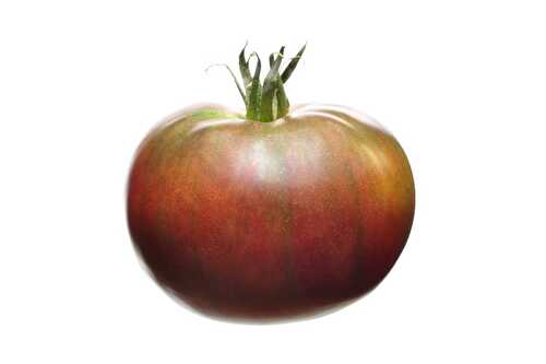 Gaspacho tomate basilic