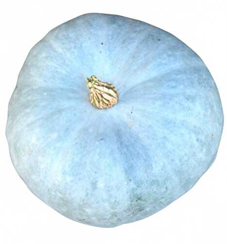 Purée de potiron bleu de Hongrie - AMAP de Treillières : les recettes de légumes de la ferme de la Tindière