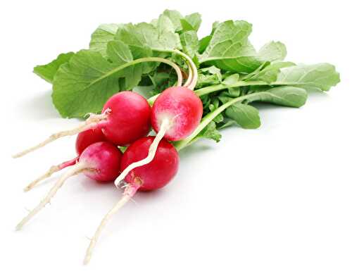 Rillettes aux deux radis - AMAP de Treillières : les recettes de légumes de la ferme de la Tindière