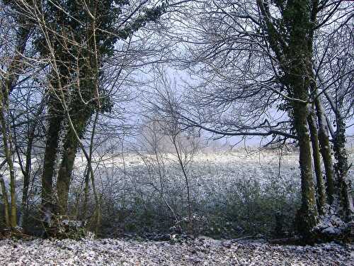 Bresse, 2 décembre 2012.