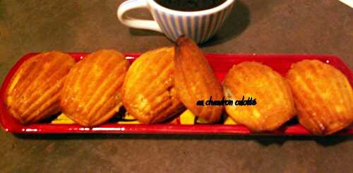 Madeleines aux noisettes