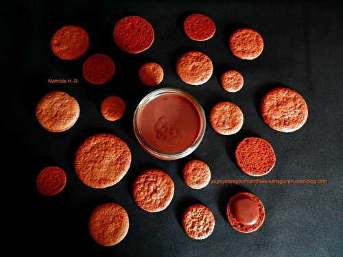 Spéculoos et Pâte à tartiner chocolat au lait-spéculoos d'après Christophe Felder