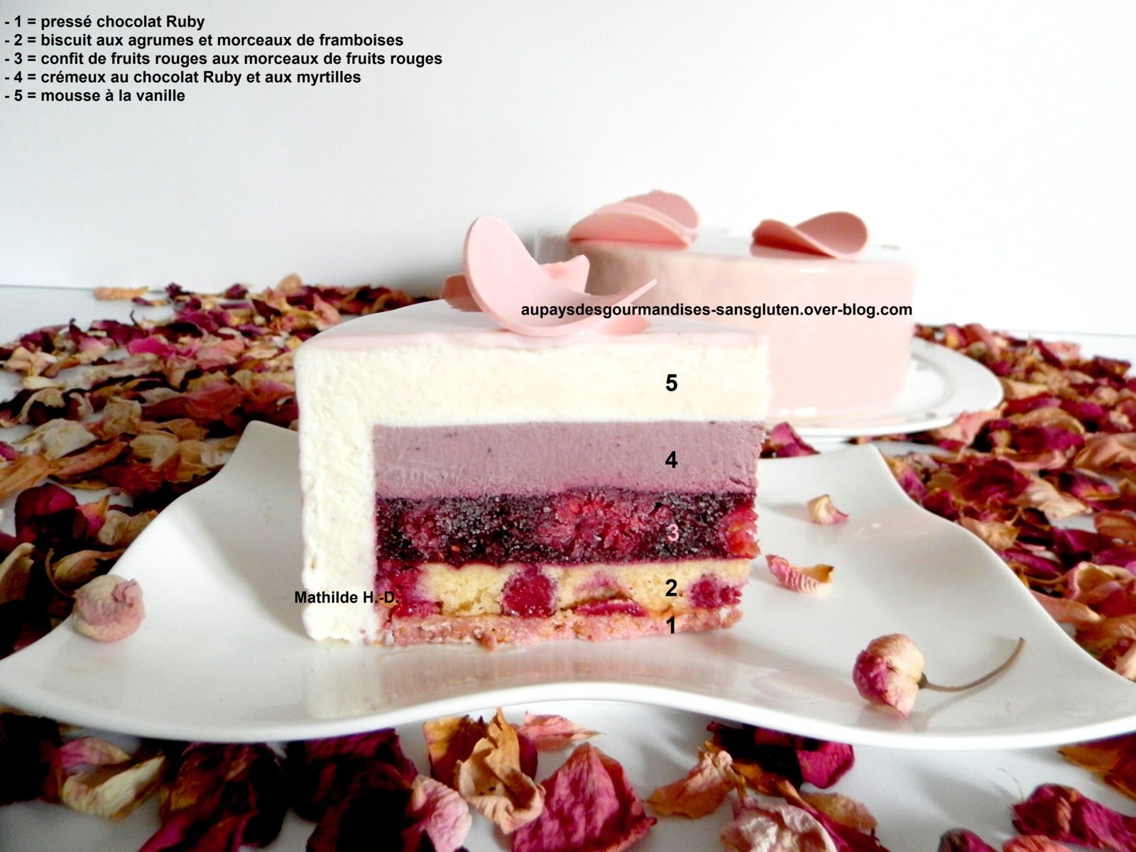 ESTELLA d'après Cécile Moritel : pressé chocolat Ruby, biscuit agrumes framboises, confit fruits rouges, crémeux Ruby et myrtilles, mousse vanille