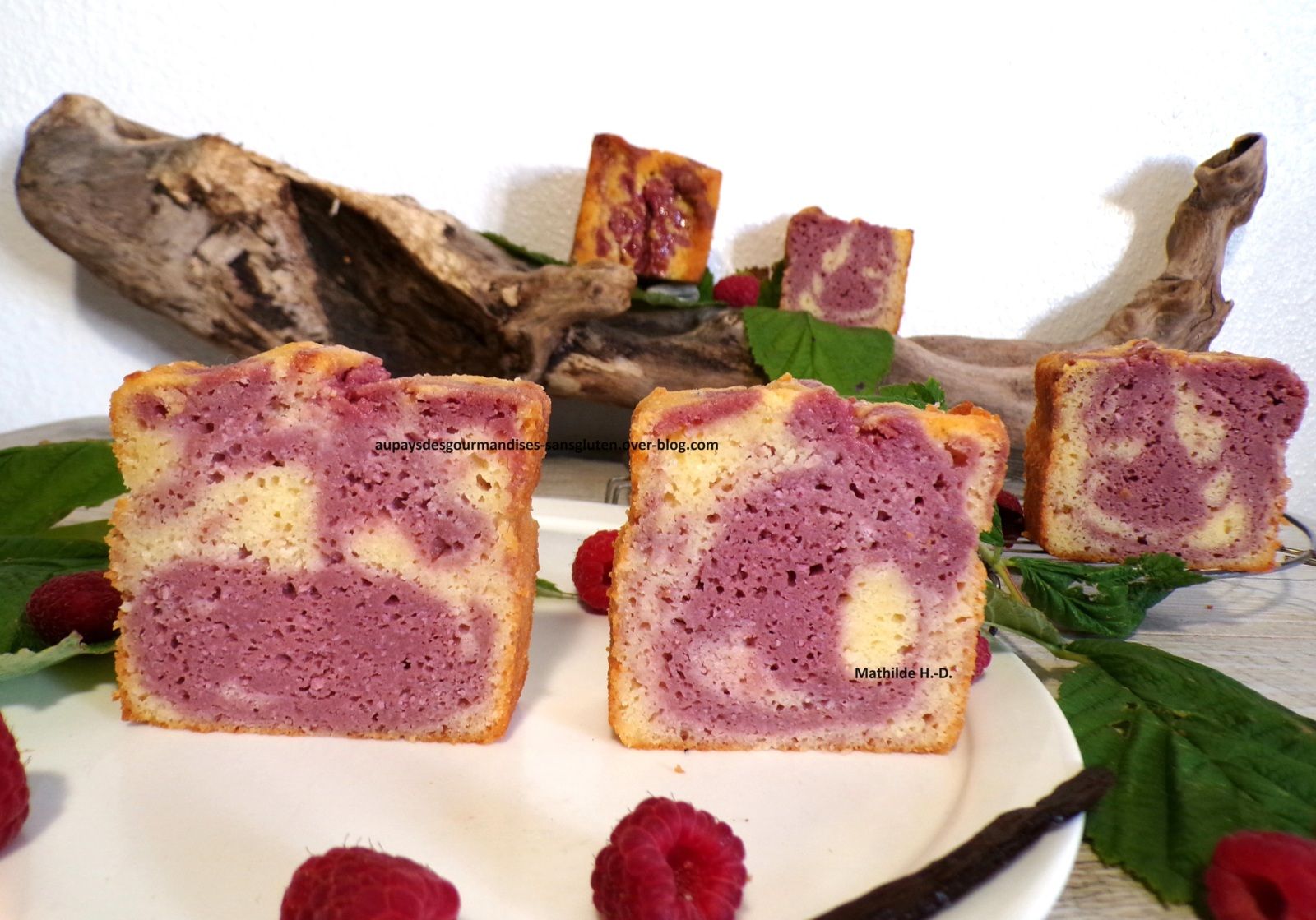 Cake marbré aux framboises et fromage blanc à la vanille sur une base de Sophie Dudemaine
