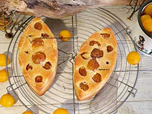 Visitandines aux mirabelles sur une base de Daniel Massé : sans gluten et sans lactose