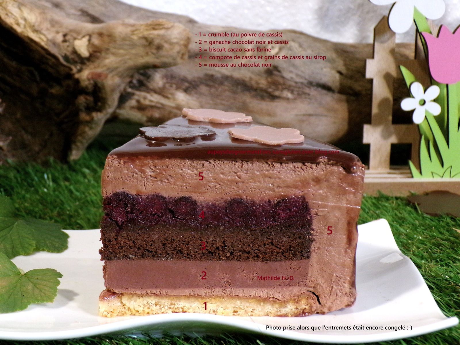 Réinterprétation de l'entremets FLEUR DE CASSIS de Pierre Hermé : crumble (au poivre de cassis), ganache chocolat noir et cassis, biscuit cacao sans farine, compote de cassis et grains de cassis au sirop, mousse chocolat noir