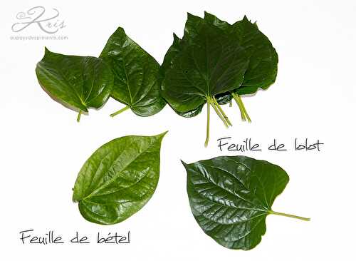 Feuilles de bétel ou feuilles de lolot ?