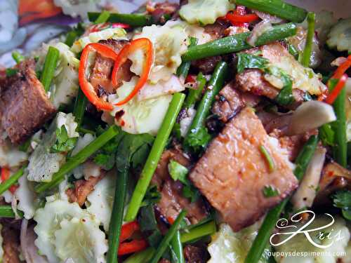 Salade de boeuf thaïe