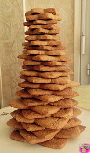 MON SAPIN EN SPECULOOS