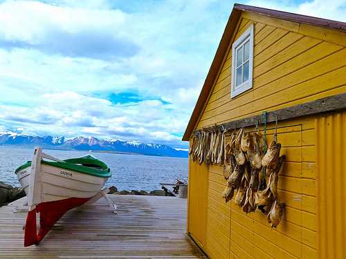 15 jours à la découverte de l'Islande