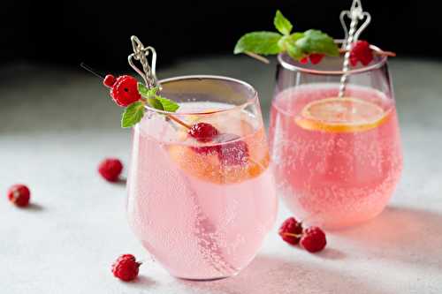 Cocktail Gin, rhubarbe & framboise