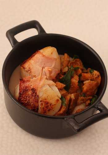 Cocotte de St Jacques au lard fumé, purée de marrons, parfum de sous bois