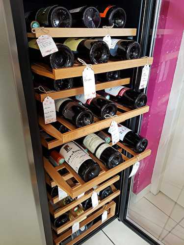 Comment choisir sa cave à vins ?