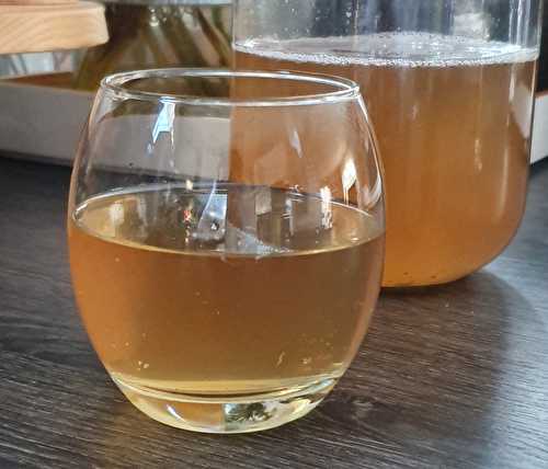 Comment faire du Kombucha ?