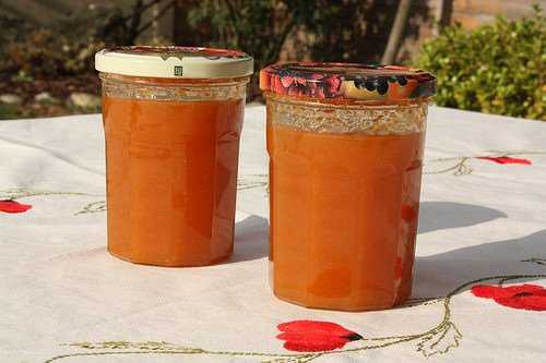 Confiture d'abricot au thermomix