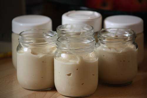 Crème dessert aux speculoos