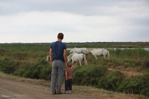 Des vacances en Camargue, mes bonnes adresses