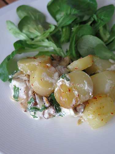 Fish Pie, le gratin de poisson aux champignons et à la crème