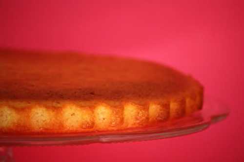 Gâteau au yaourt moelleux