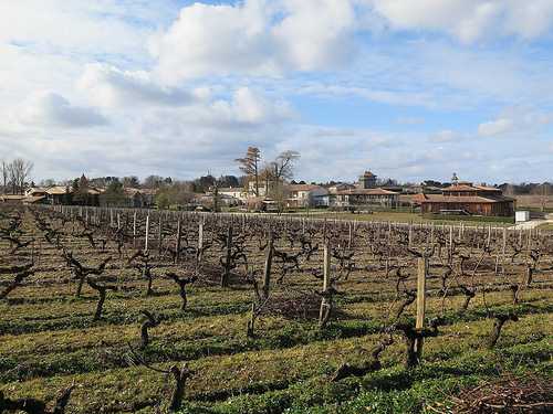 Grand'Vigne Caudalie I Gastro I Martillac (33)