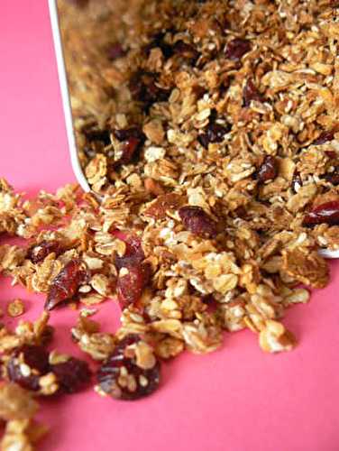 Granola (muesli) aux cranberries & amandes