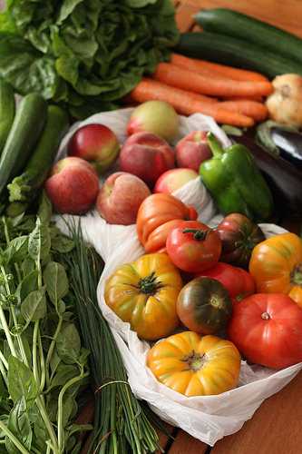 Le Jardin d’Ethan, Eysines : producteur de fruits & légumes locaux [Gironde]