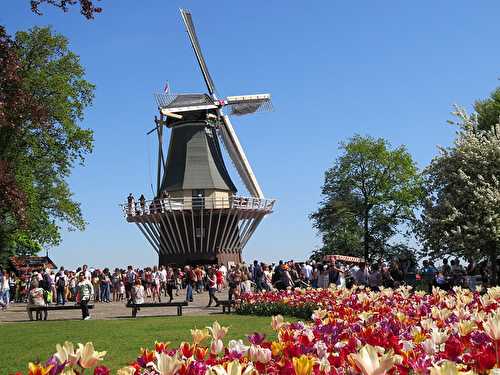 Le Parc de Keukenhof à quelques kilomètres d'Amsterdam pour avoir des tulipes plein les yeux