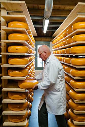 Les fromages de Hollande