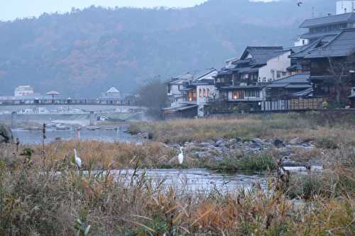 Misasa Onsen et ses sources naturelles