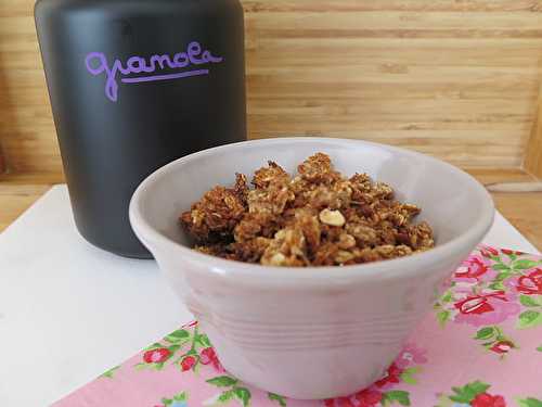 Mon Granola maison au miel