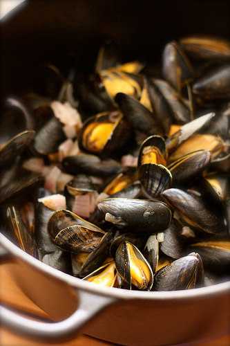 Moules au Pineau des Charentes et a la creme