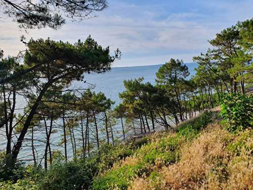 Ou partir en France cet été ?