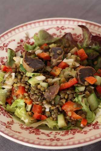 Salade de lentilles aux gésiers de canard