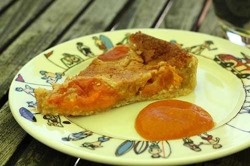 Tarte moelleuse aux abricots