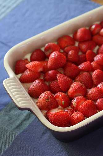 Tiramisu fraises et pèches de vignes, aux biscuits roses