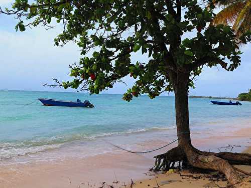 Voyager en Guadeloupe, toutes les infos utiles pour préparer son voyage