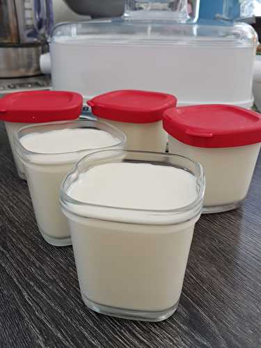 Yaourts soja vanille dans la multidélices express