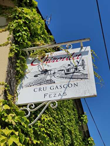 Découverte des Vins des Côtes de Gascogne au Domaine du Chiroulet